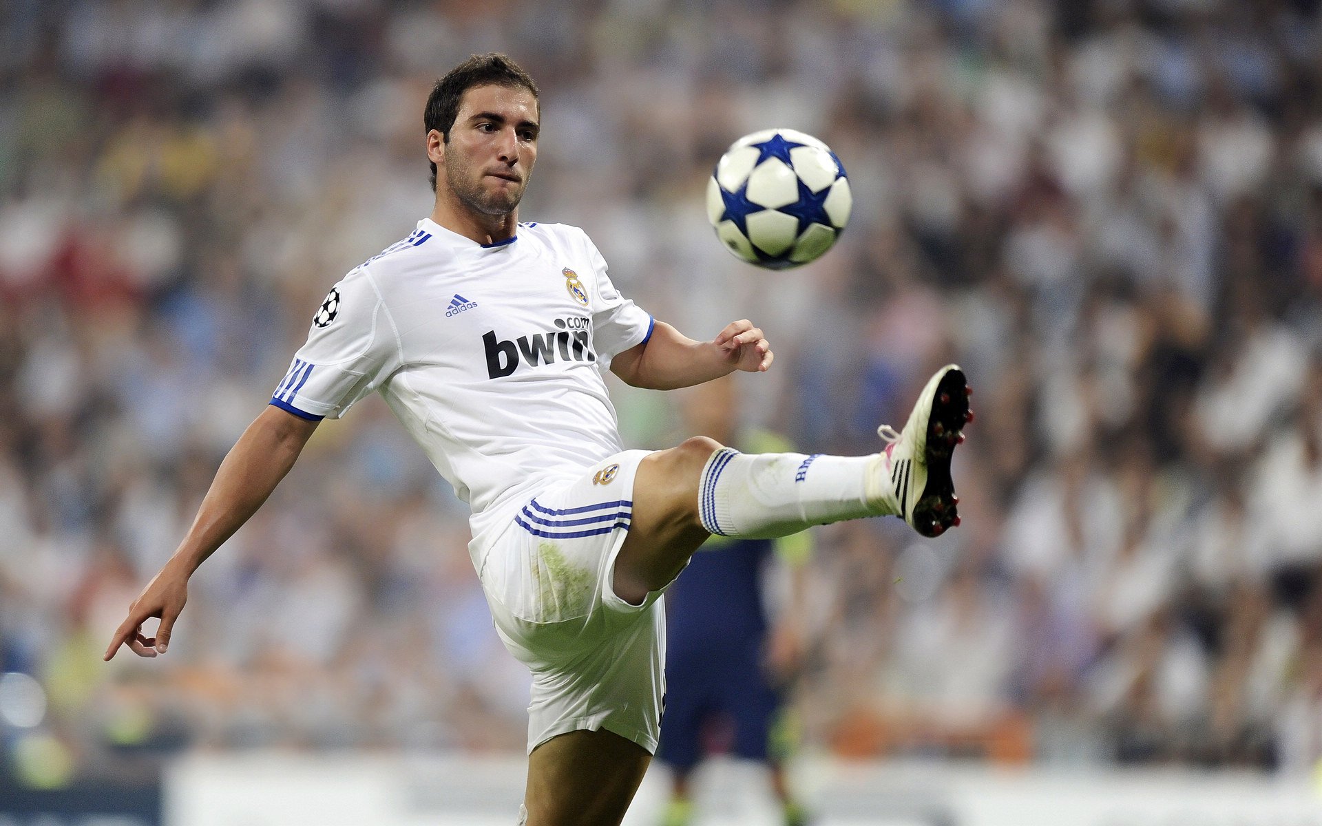 2026世界杯之夜，小贾伦的沉默与一座城的呐喊